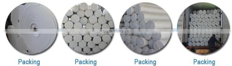 Filament Spunbond Needle Punched Polyester non woven geotextile 300g/m2