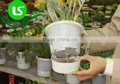 50cell Black Plastic seeding tray