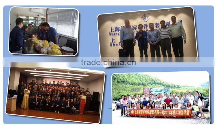 Building industry zinc plating carbon steel washer