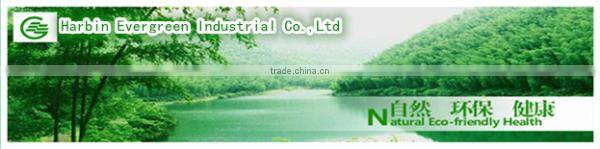 hight quality,lowest price wooden & bamboo toothpick