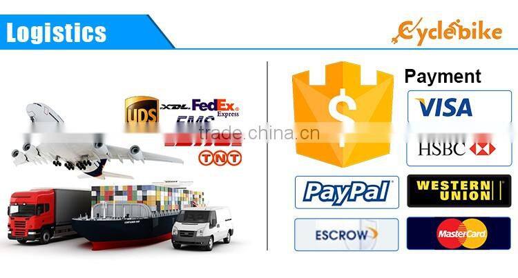 CE appoved 48v 1000w motor bldc