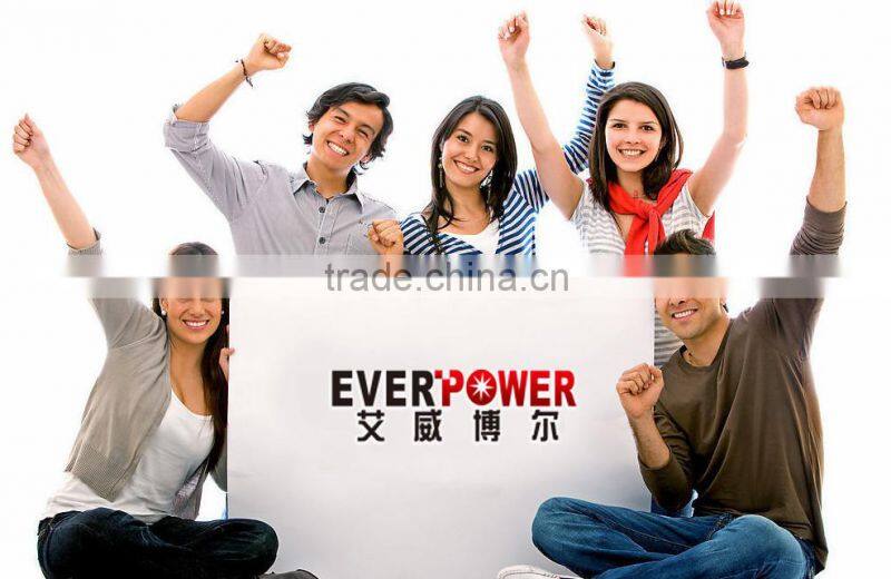 2016 AU plug SAA certification golf cart Wholesale 12.6V 16.8v Li-ion Battery Charger EP6012L3