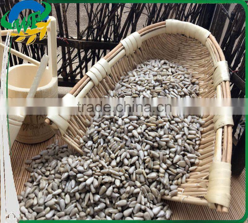 New crop Chinese sunflower seed kernel for export