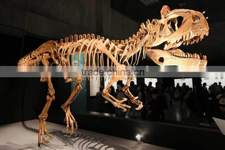Hot sale dinosaur fossil model for outdoor playground