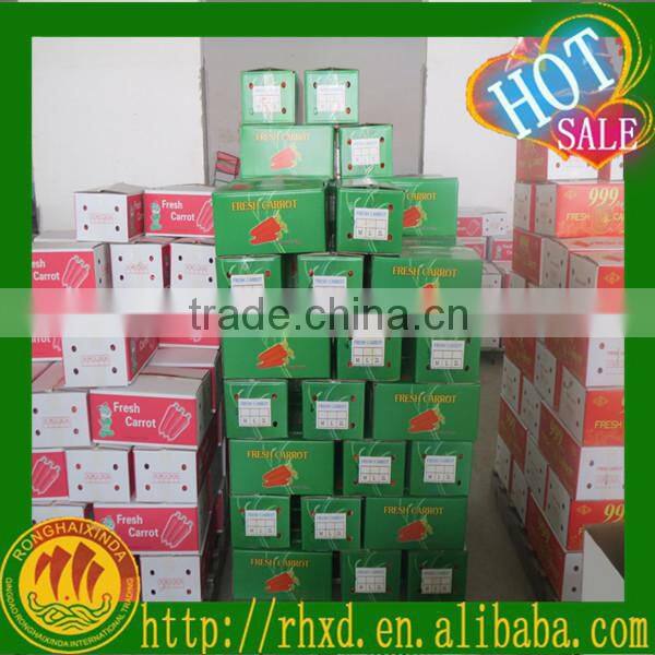 baby carrot fresh from Chinese carrot exporter