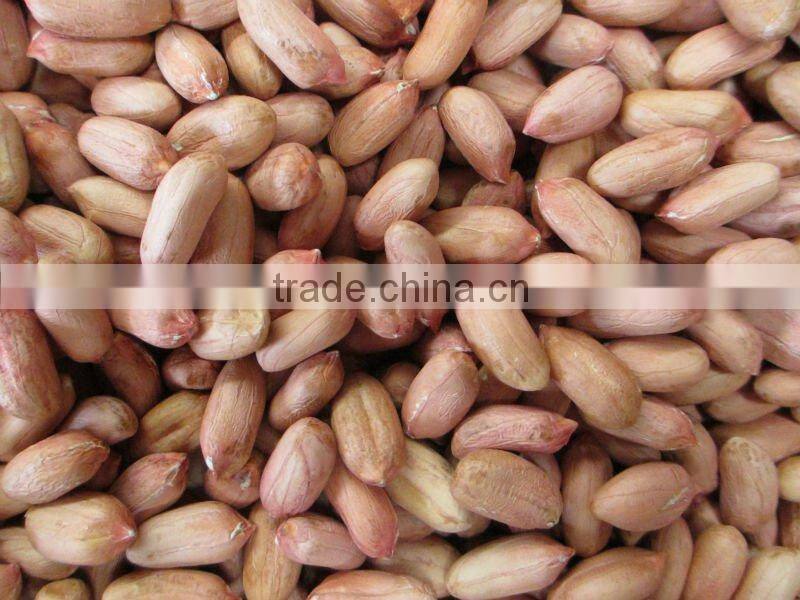 Seaflower type peanut kernel