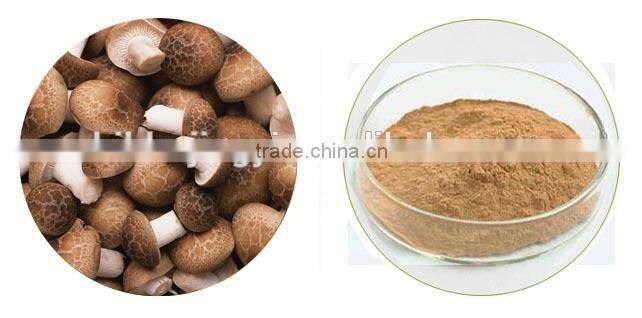 GMP Certified Lentinus Edodes Extract