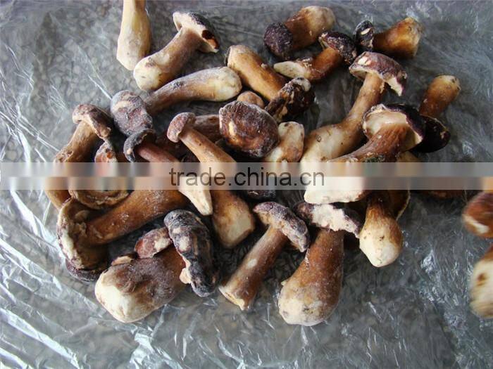 IQF boletus edulis