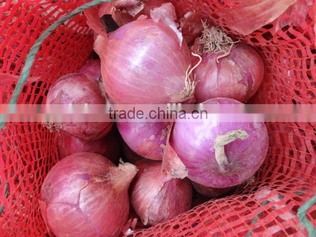 2014 Fresh pink Onion for sale
