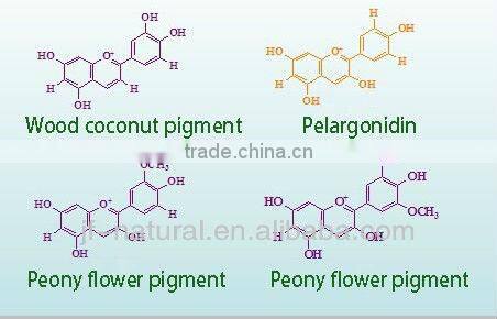 natural blueberry extract anthocyanidin