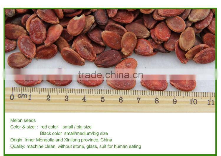 edible red water melon seeds big size