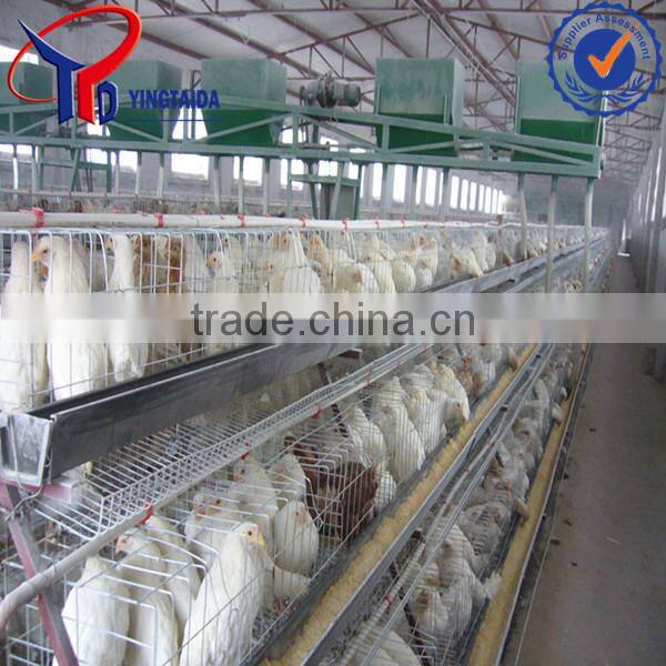 poultry dung removing machinery equipment /layer poultry cages for nigeria/africa