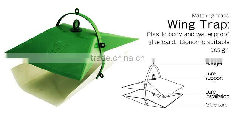 Pheromone Lure for Paranthrene regalis, Sex Pheromone Attractant