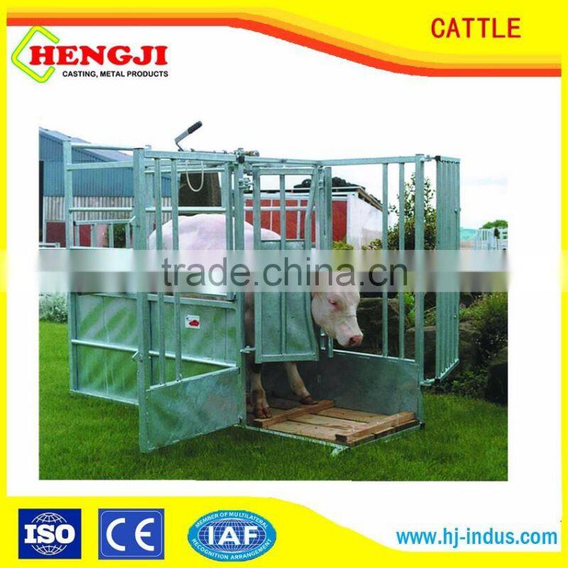 poultry farming cattle feeder