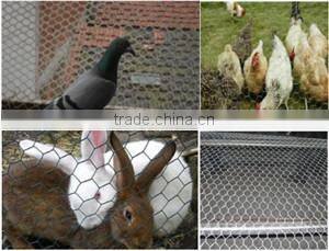 hexagonal wire mesh