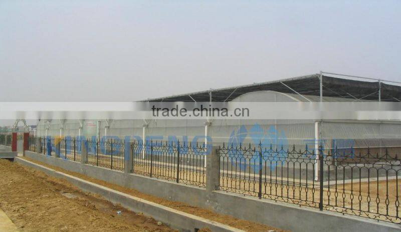Multi Span PE Film Greenhouses For Vegetable