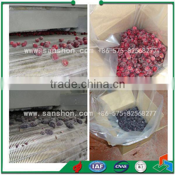 Food Freezing IQF Blast Freezing Vegetable Freezing Machine Frozen Cranberries