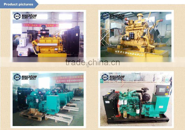 30KW shuiwang diesel generator set