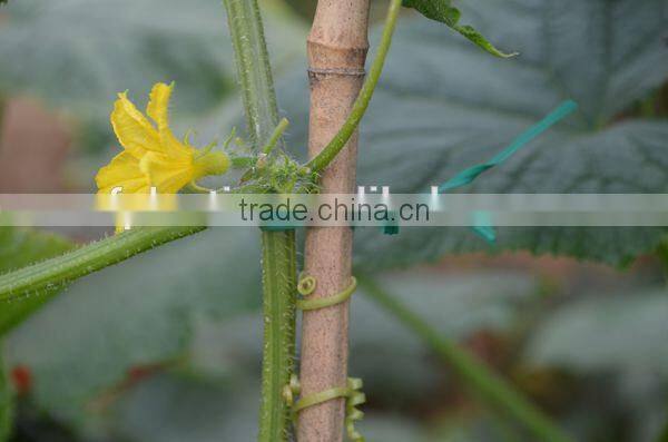 15cm 20cm with 2.0mm and 2.6mm PVC Green Plastic Twist Tie