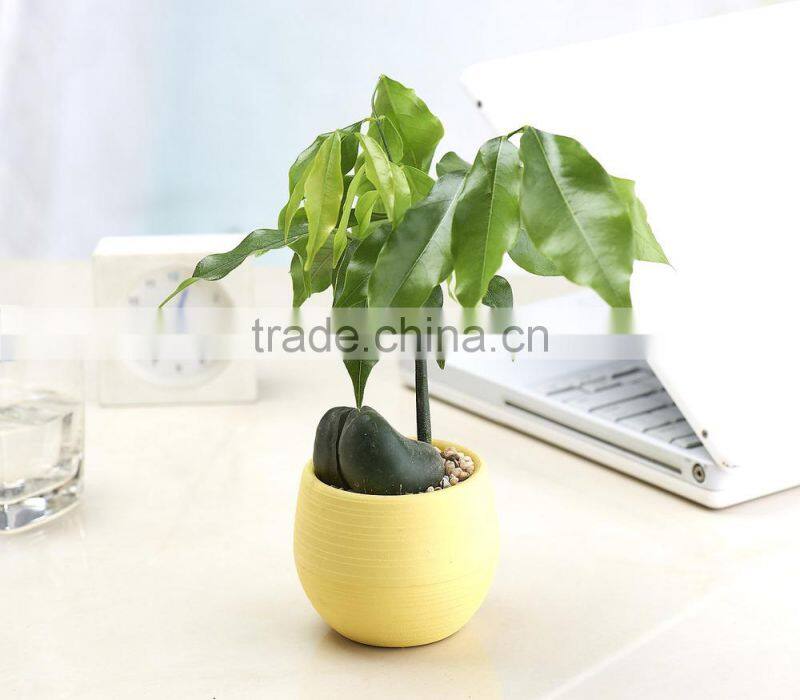 Mini Round Plastic Plant Flower Pot Home Office Decor Planter