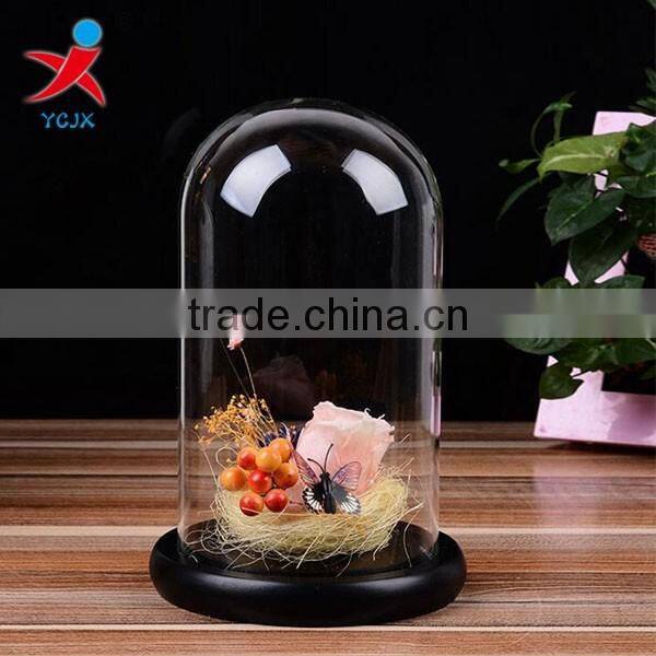 clear decorative glass dome with black wooden base