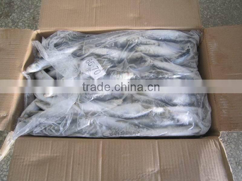 W/R frozen sardine 80-120g for canning or market
