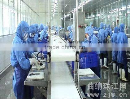 Grade A Frozen spanish mackerel fillets