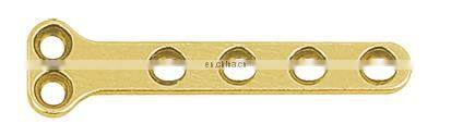 Competitive Price Veterinary Bone 1.1mm T Type Plate (B Series) Orthopedic Trauma Implants
