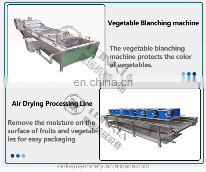 LONKIA Full Automatic Root/ Leafy Vegetables/Fruit/Salad Washing Dehydrator Line Water Bubble Washing with Factory Price