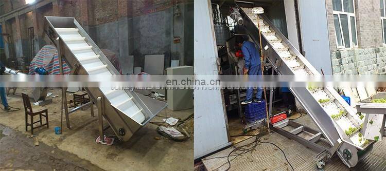 Energy-saving full automatic Grape Destemmer Machine | Grape Crusher Stemmer