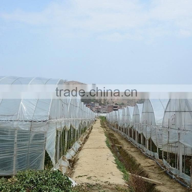 Durable best sell fresh pink color cattleya orchid