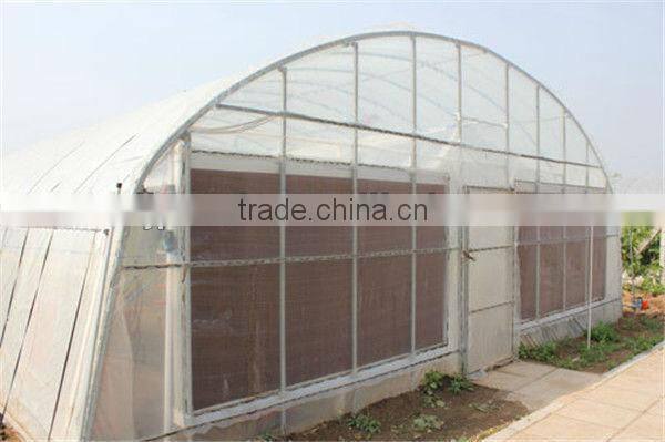 Galvanized Structure Low Tunnel Greenhouse