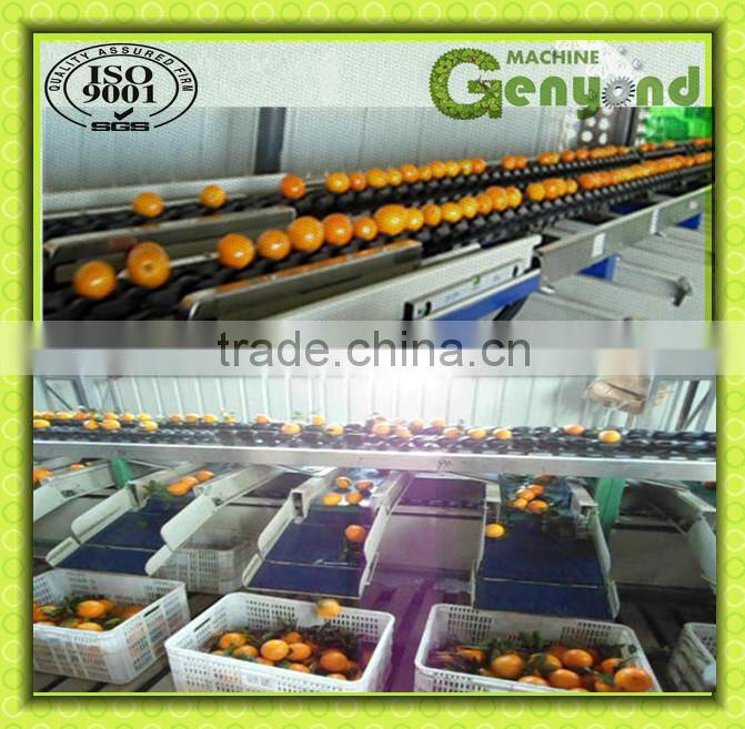 cup squezzing orange juicer machine