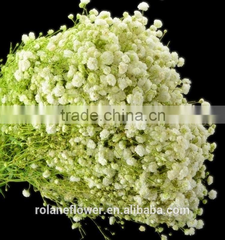 Cheap wholesale diamond cutting disc 230mm cutting board key cutting machine with 1kg/bundle from Yunnan, China