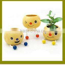 Specialized boxes for gifts DIY mini bonsai promotional gifts for teenagers , corporate anniversary gifts