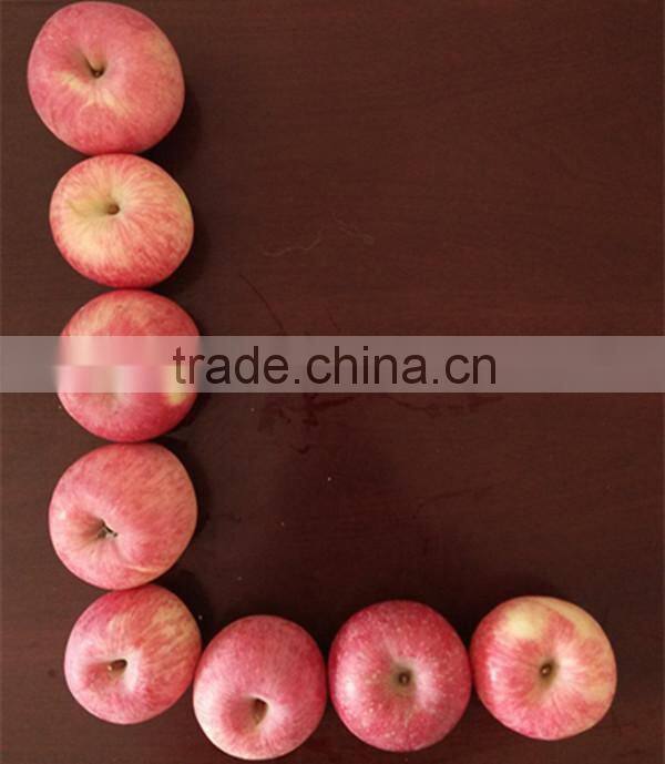 Best selling nutritious Apple Fuji Apples Chinese Fuji Apple