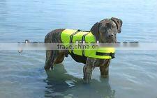 High visibility orange dog safety vest