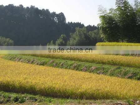 Takacho Karakuchi Sake 180ml Japanese sake liquor suppliers brand names sake japanese drink