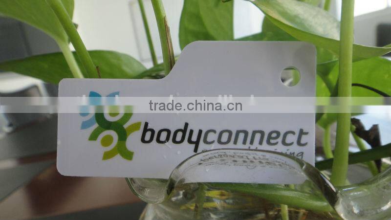 Free Design !!!Barcode plastic key tags/ PVC keychain cards for fitness center