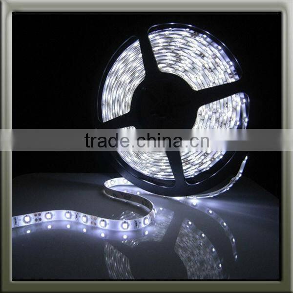 220V 5050 Cool white led light LED strip light waterproof