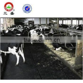 EVA Stall Floor Mats for livestock