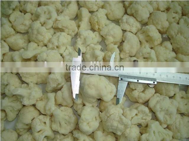 high quality IQF frozen carrot vegetable