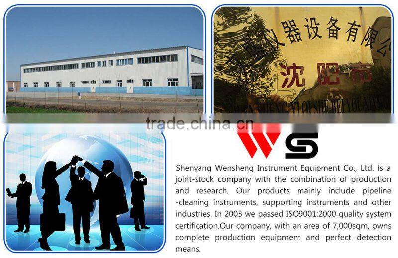 Electronic passing indicator for pigs