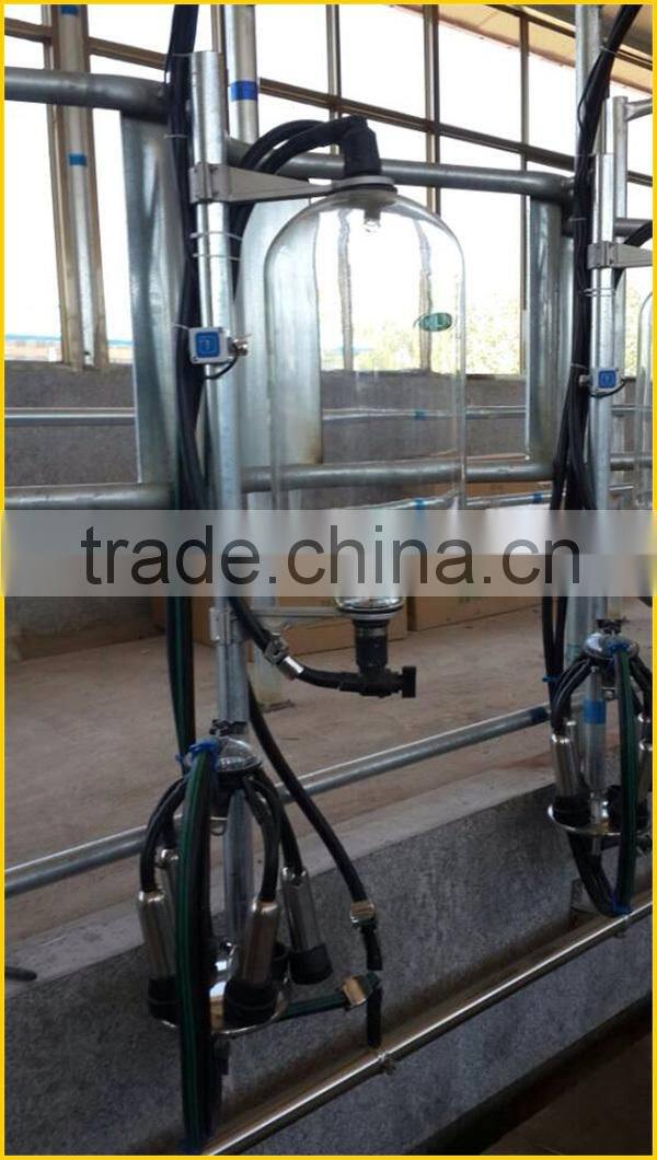 fish-bone milk systems, milking parlors, automatic milk parlors