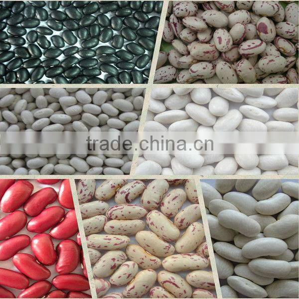 All Kinds Of Beans Cooking White beans 2016 Crop Wholesale