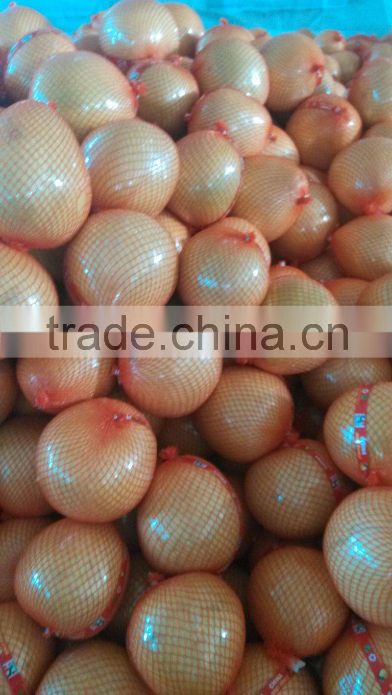 Fresh Pomelo/Chinese Pomelo Fruit/Pomelo Prices