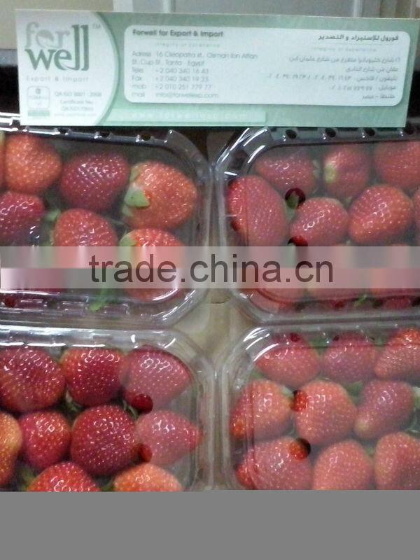 Fresh Strawberry