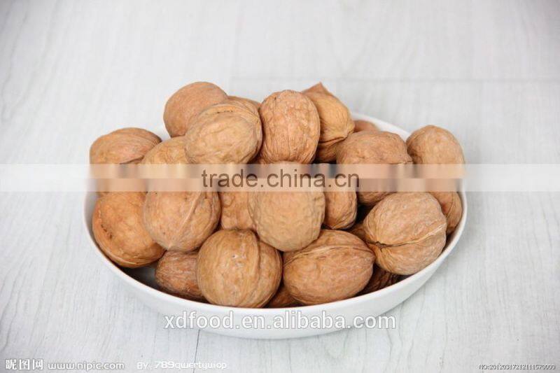 common Thin skin Walnuts in Shel, Unshelled Walnuts