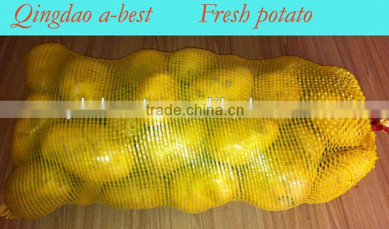 Fresh Holland potato