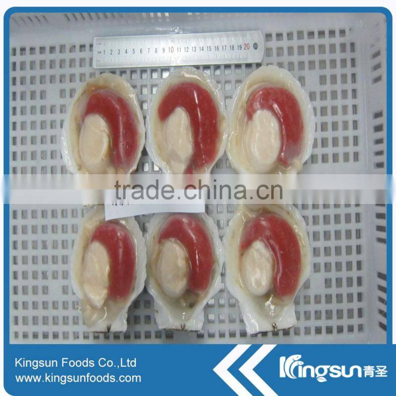 Frozen Sea Scallop on hot sale